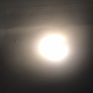 Meet your Posher, Patty